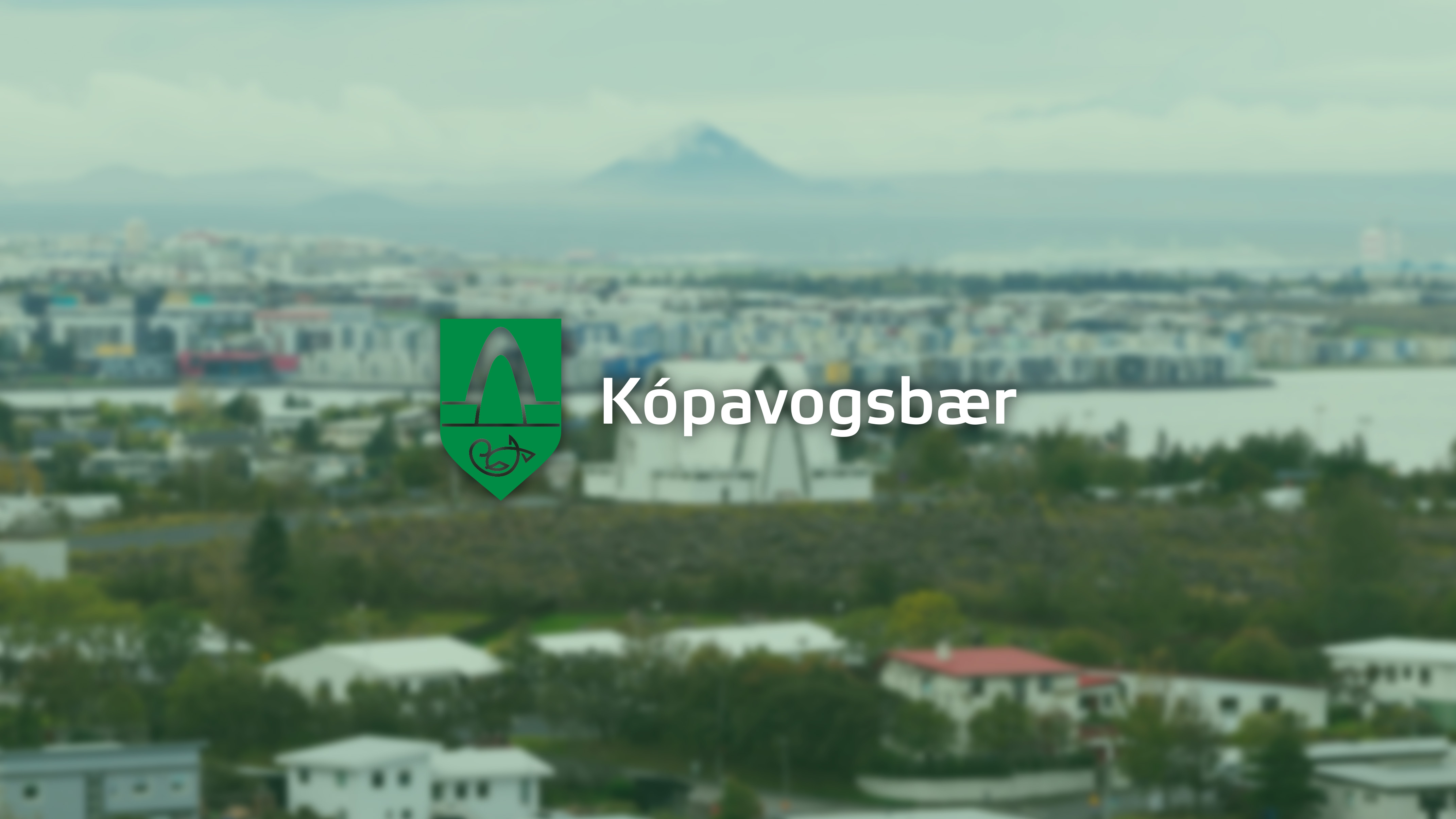 Snjalltryggingar background